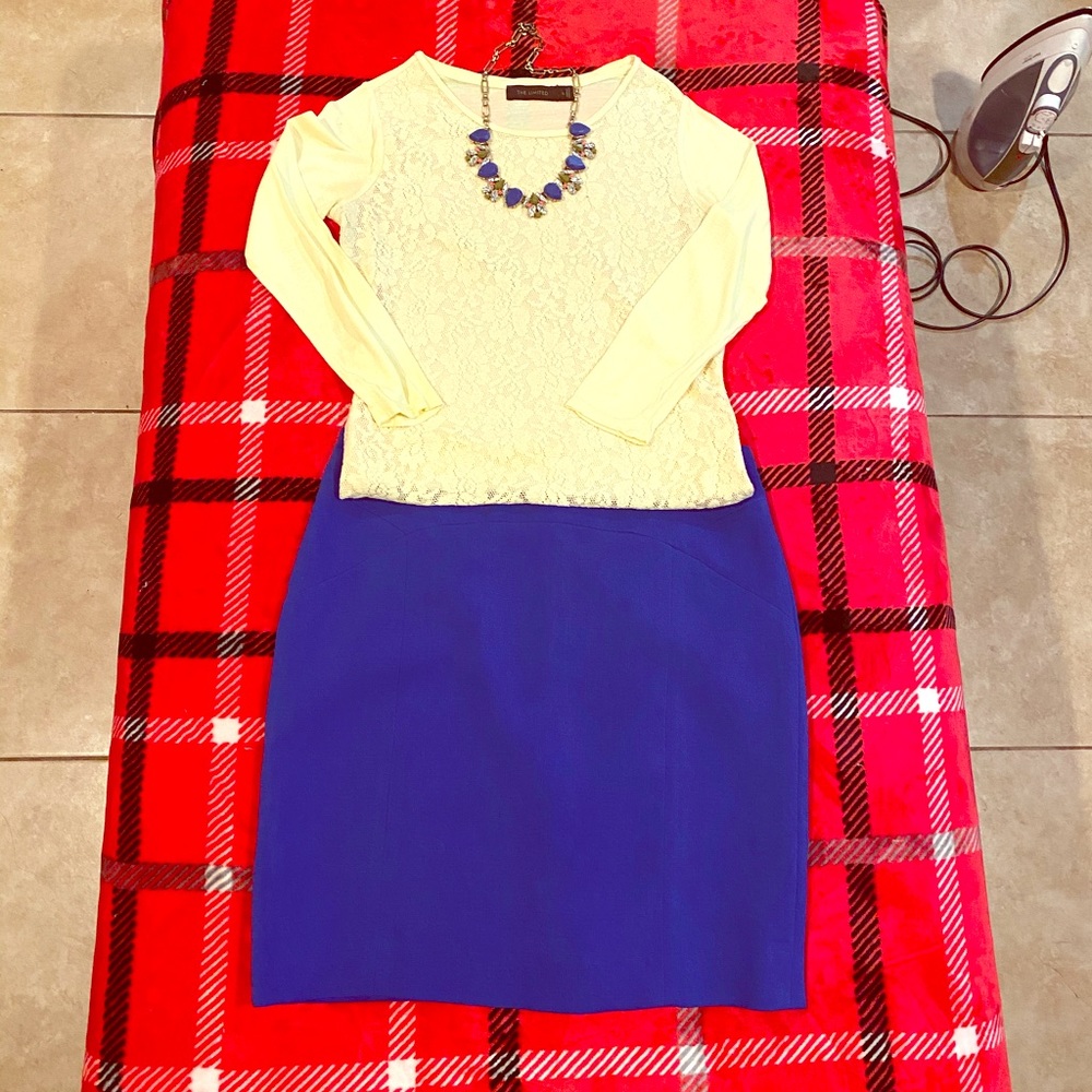 THE LIMITED Skirt